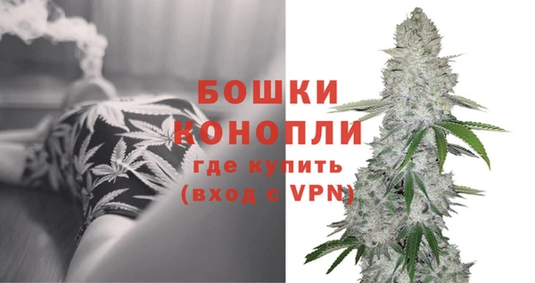 сатива Балабаново