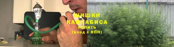 сатива Балабаново
