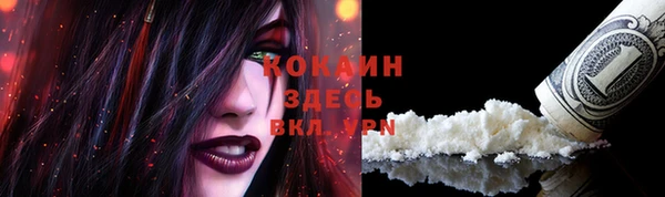 ГАЛЛЮЦИНОГЕННЫЕ ГРИБЫ Балахна