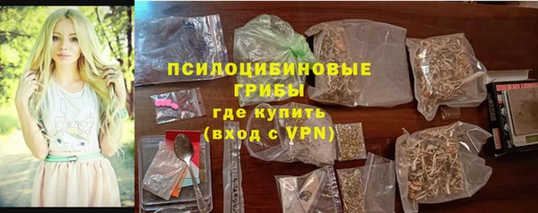 ГАЛЛЮЦИНОГЕННЫЕ ГРИБЫ Балахна