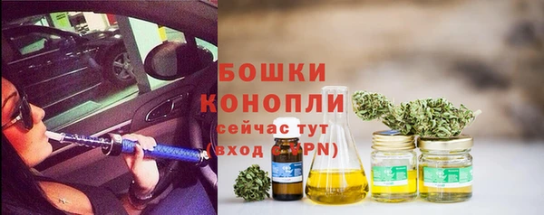сатива Балабаново