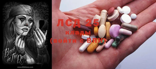 ГАЛЛЮЦИНОГЕННЫЕ ГРИБЫ Балахна